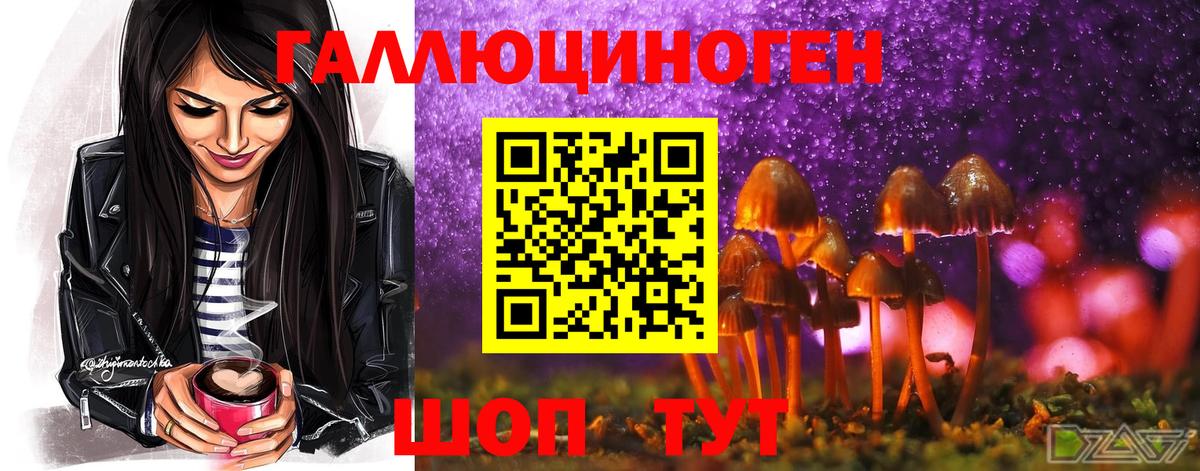 Псилоцибиновые грибы Psilocybine cubensis  Вход с VPN  Сафоново 
